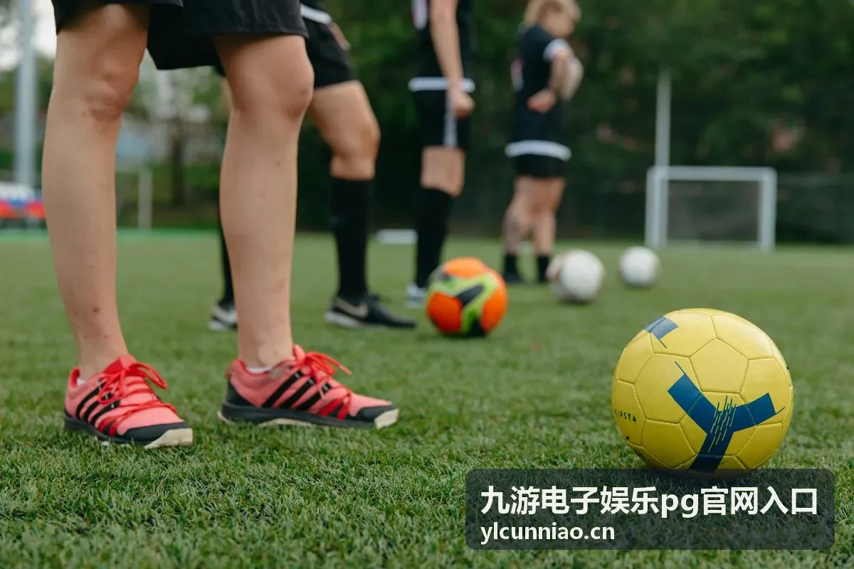 九游电子娱乐pg官网入口注册登录条目标题图