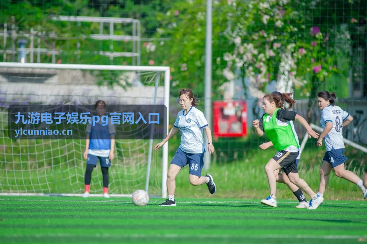 九游电子娱乐pg官网入口账号安全条目标题图